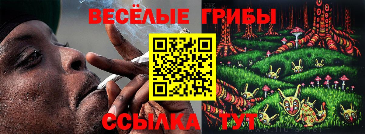 Галлюциногенные грибы прущие грибы  Вход с VPN  Кыштым 
